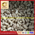 Best Quality Peanut in Shell New Crop Groundnut in Shell